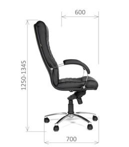 Кресло офисное CHAIRMAN 480 Экокожа премиум черная в Самаре - предосмотр 2